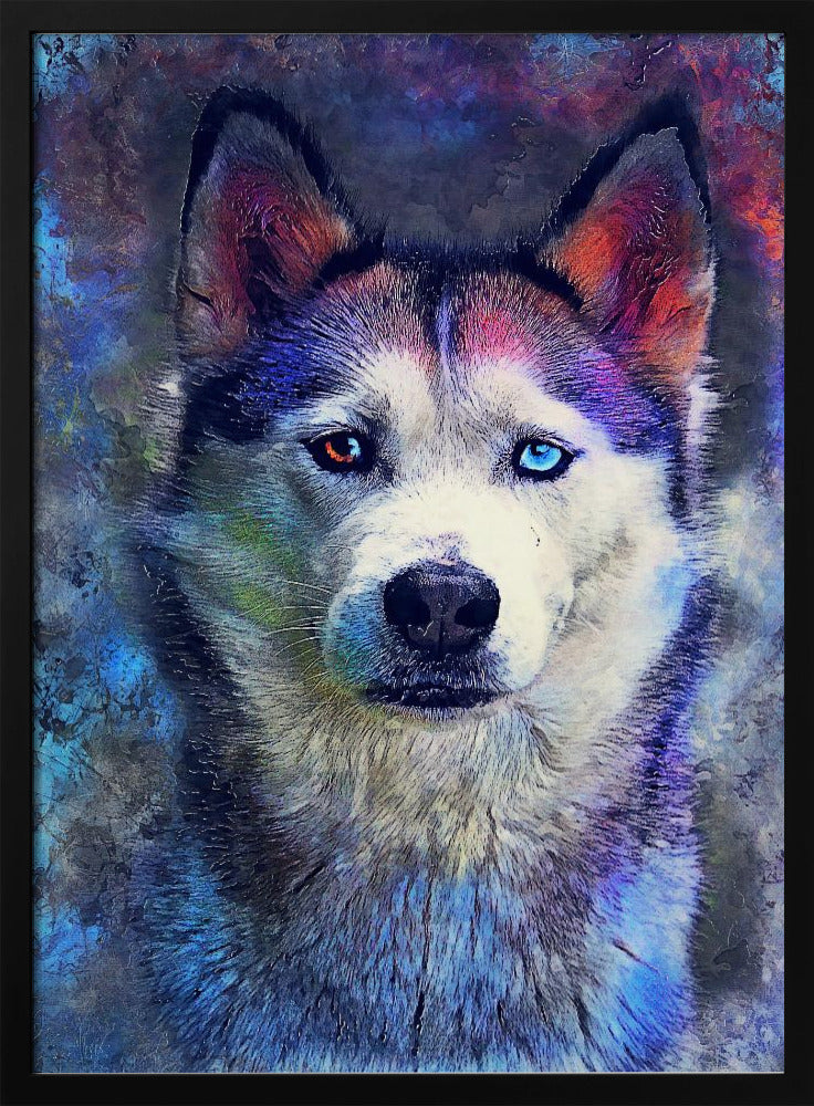 Djur Hund Husky Akvarell Djurkonst | Poster