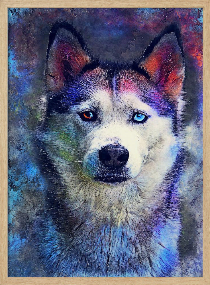 Djur Hund Husky Akvarell Djurkonst | Poster
