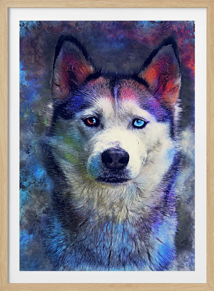 Djur Hund Husky Akvarell Djurkonst | Poster