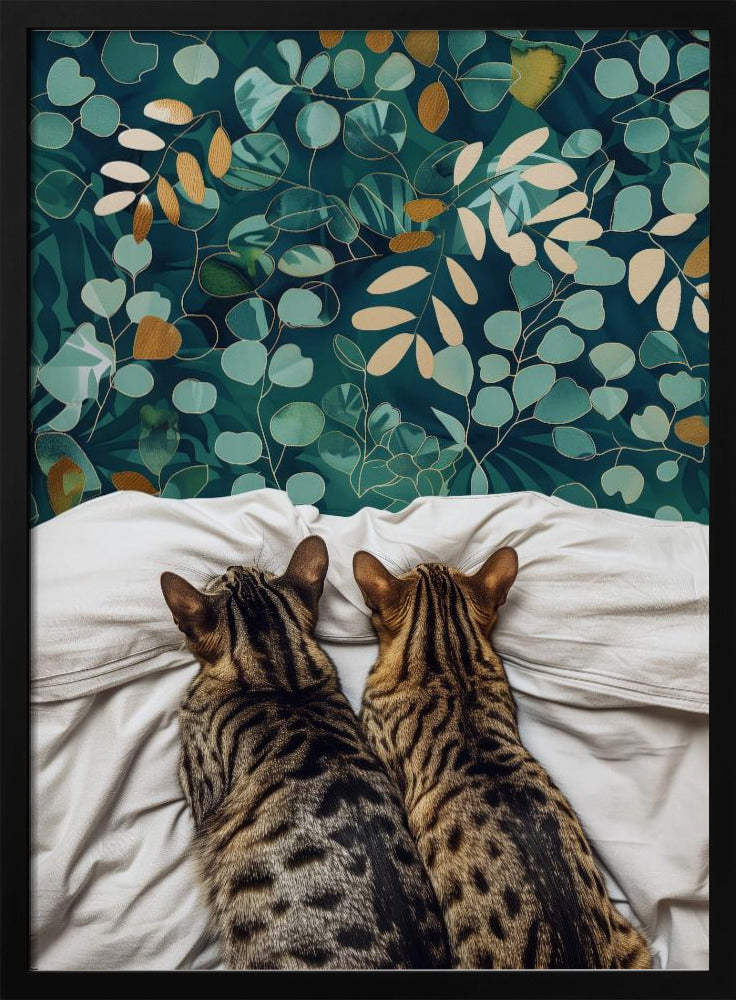 Two cats | Poster