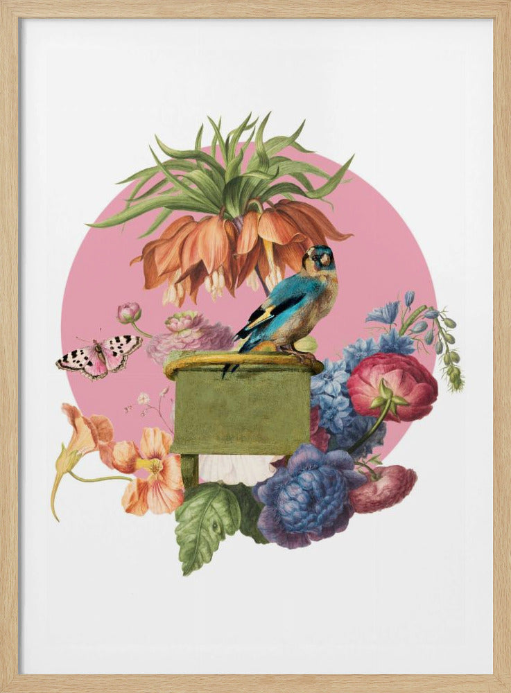 Colorful Bird Perched On A Box | Poster