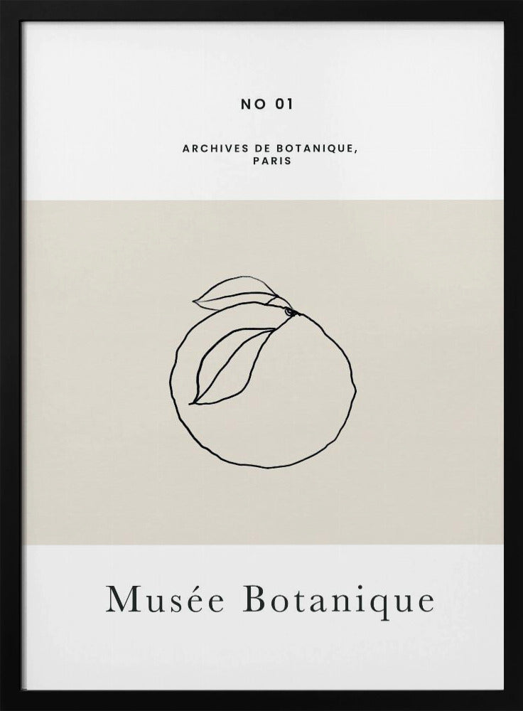 Abstractbotanicsno13 | Poster