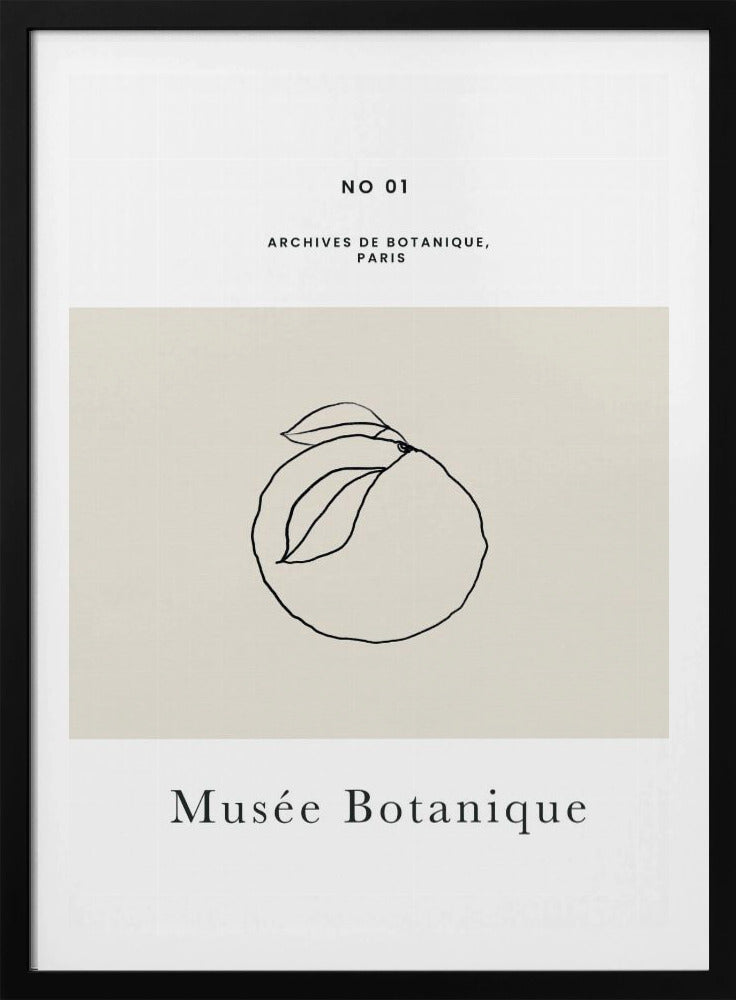 Abstractbotanicsno13 | Poster