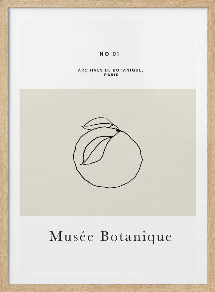 Abstractbotanicsno13 | Poster