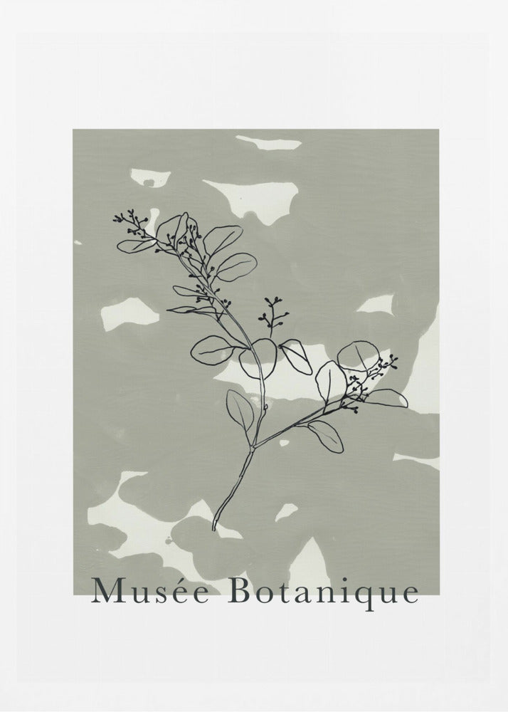 Abstractbotanicsno16 | Poster