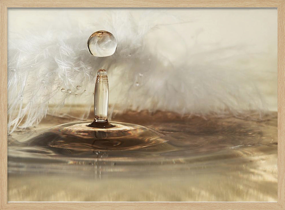 Goldene Federtropfen | Poster - Kunstdruck