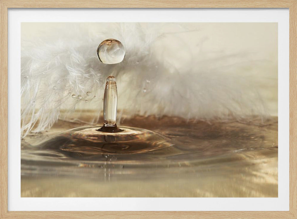 Goldene Federtropfen | Poster - Kunstdruck