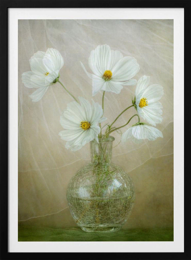 Brise du cosmos | Posters - Affiche Artistique