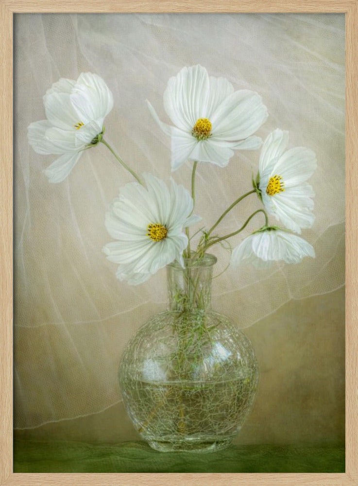 Brise du cosmos | Posters - Affiche Artistique