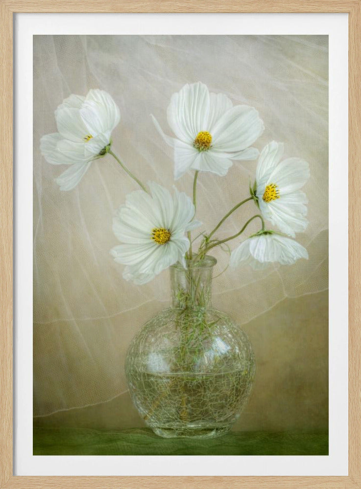 Brise du cosmos | Posters - Affiche Artistique