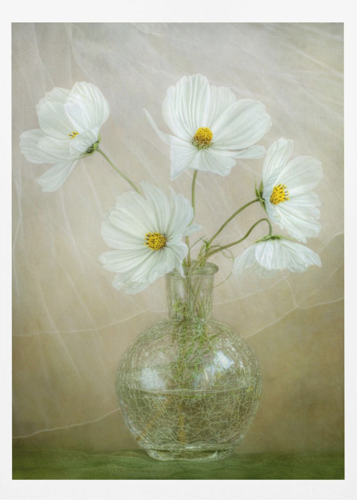 Brise du cosmos | Posters - Affiche Artistique