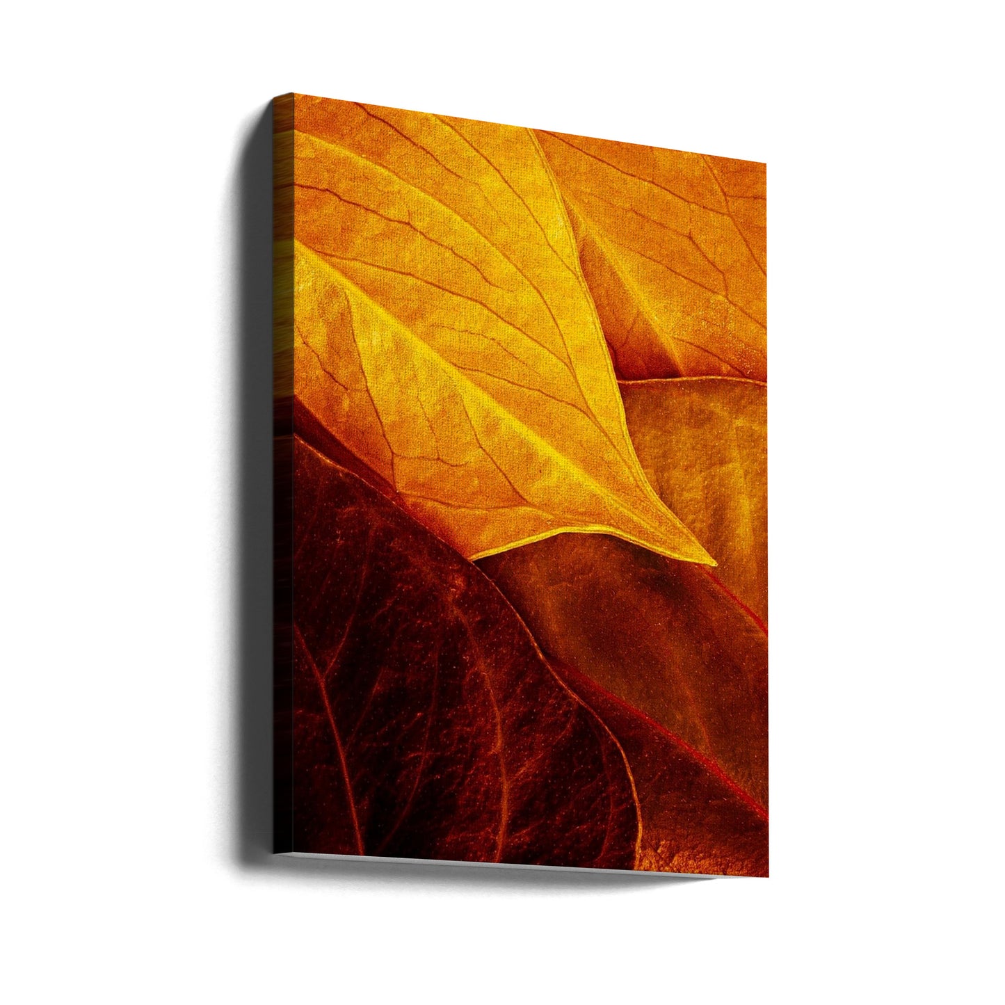Bladeren | Canvasprints