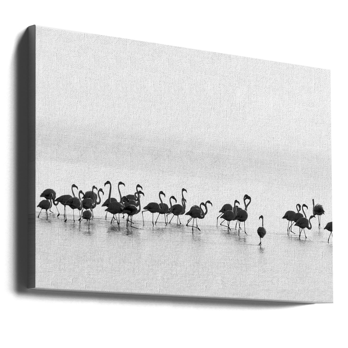 Flamants roses | Tableaux sur Toile