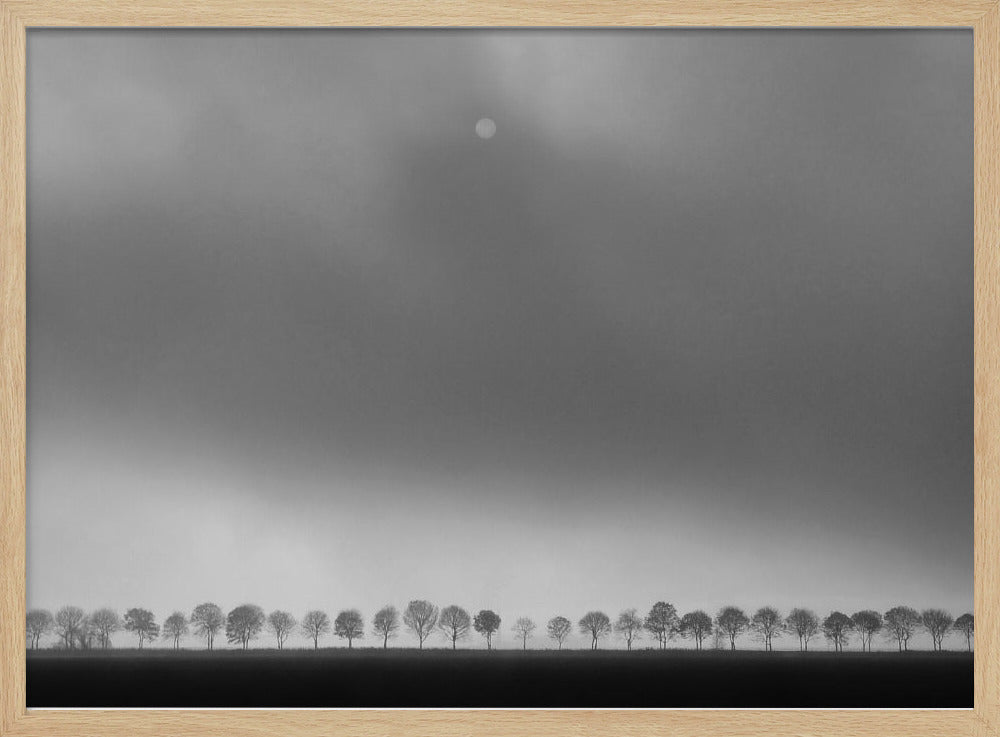 Polderlandskap | Poster