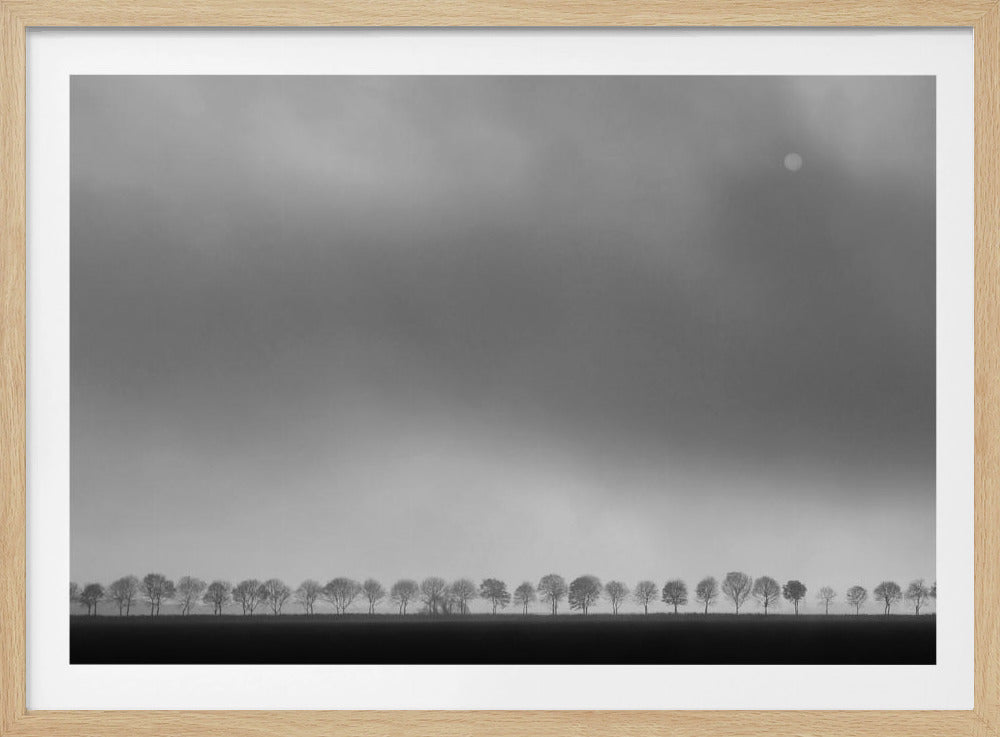 Polderlandskap | Poster