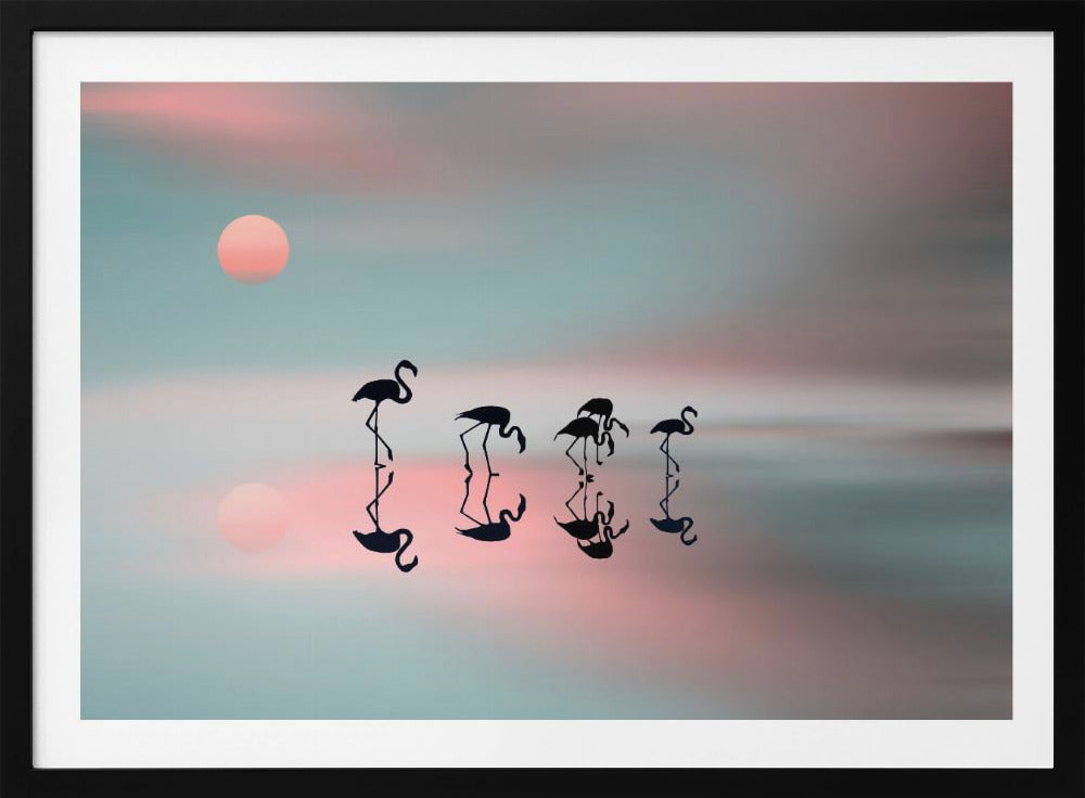 Familie flamingoer. | Plakater - Kunsttryk