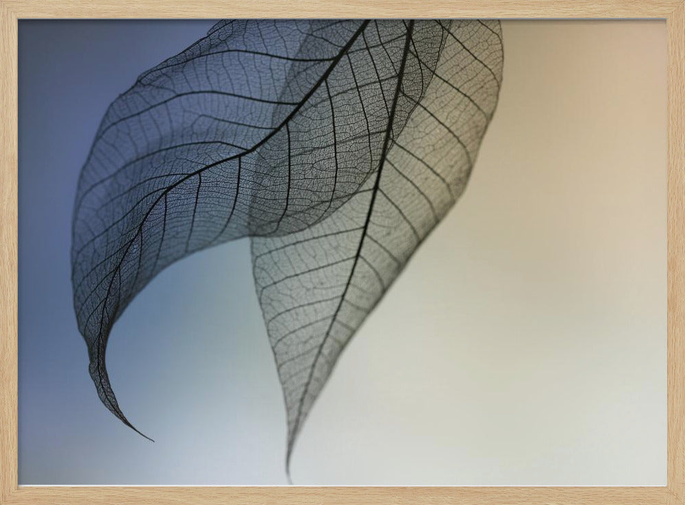 Cavatina | Posters - Kunstdrukken