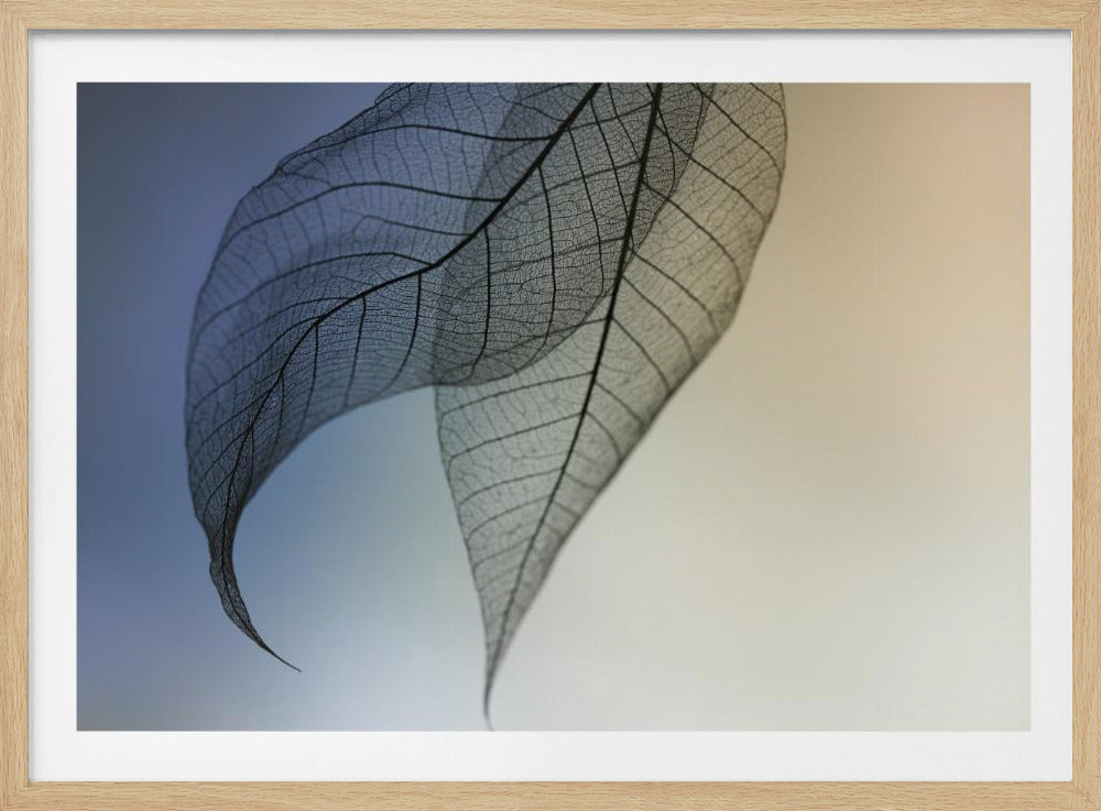 Cavatina | Posters - Kunstdrukken