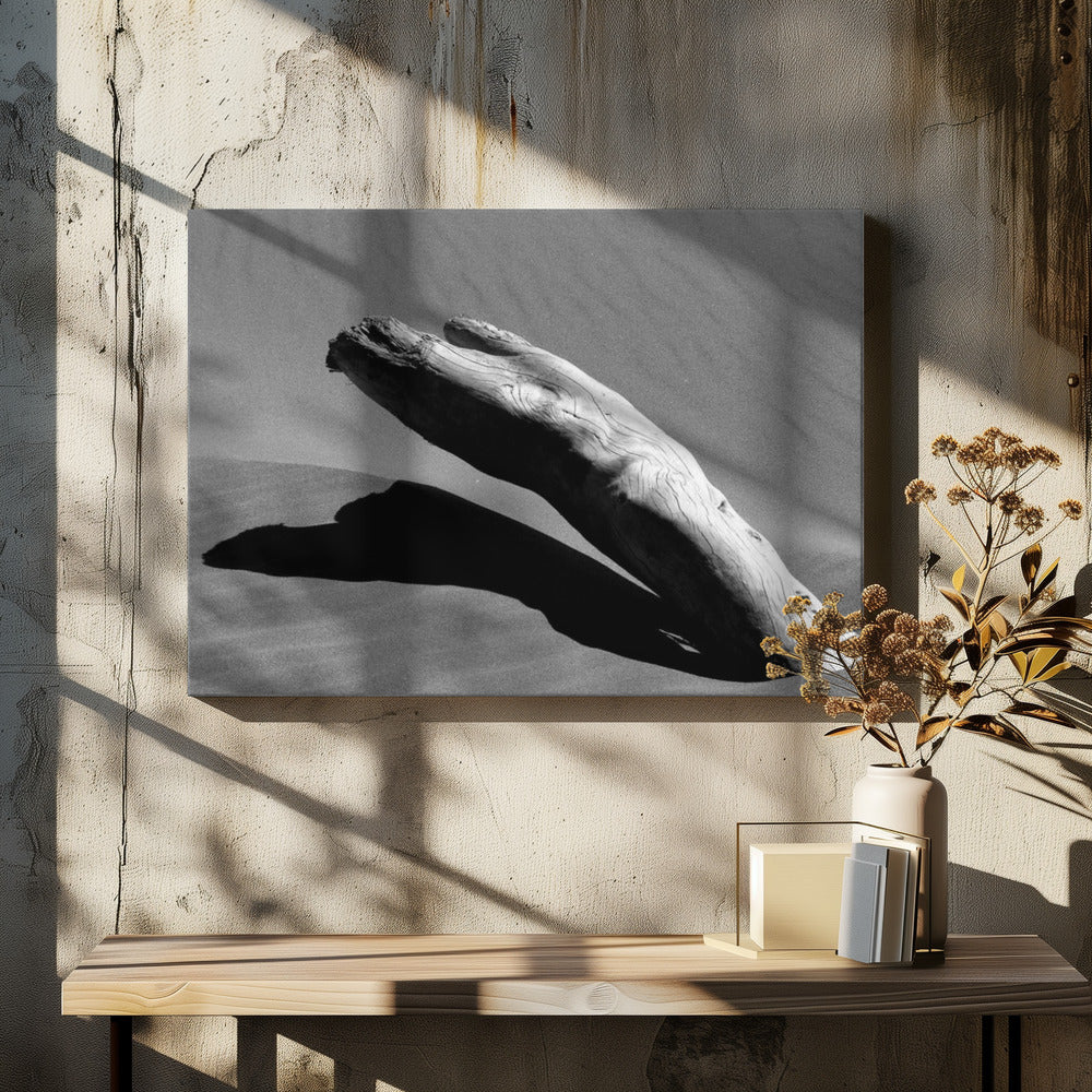 Deshalb | Leinwand-Bilder