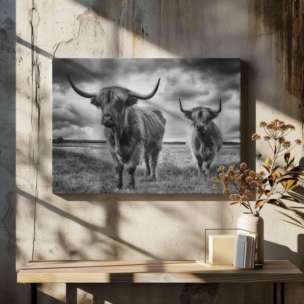 Highlands | Canvas