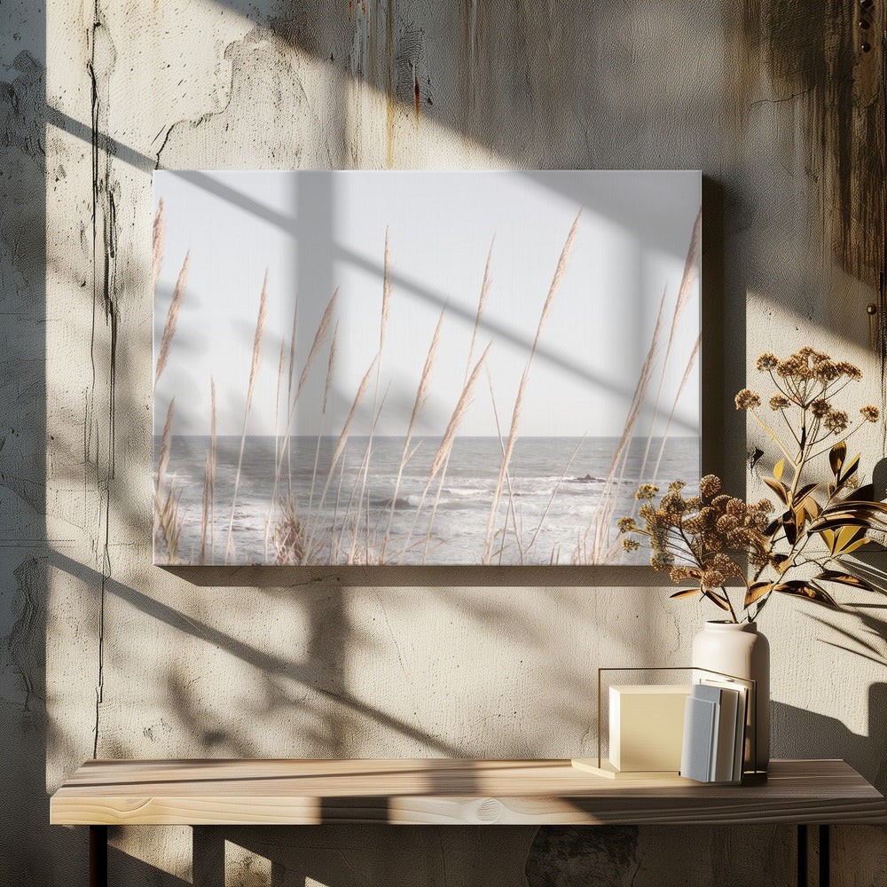 Beach_Vass_002 | Canvas