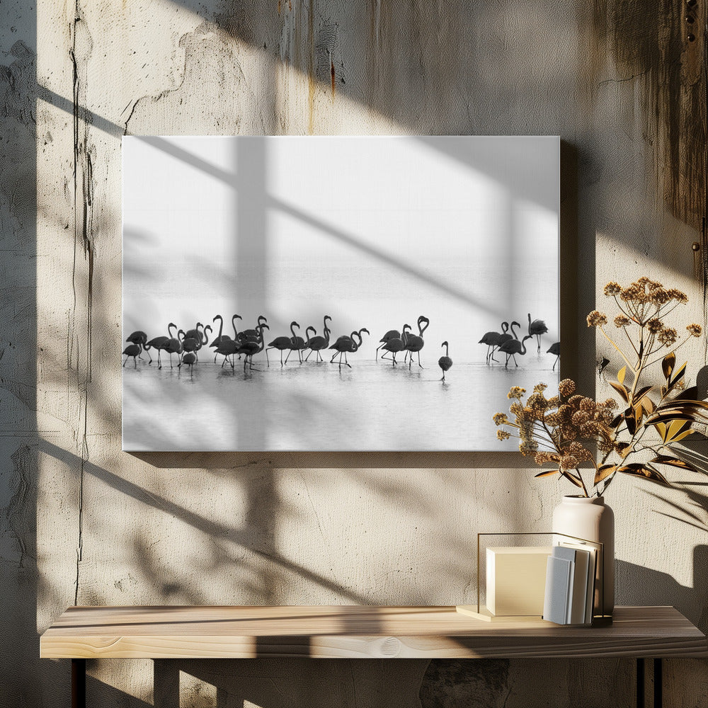 Flamants roses | Tableaux sur Toile