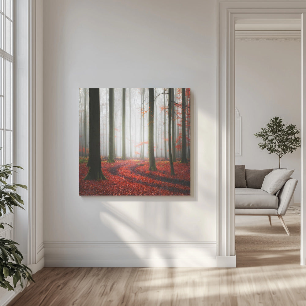 Höstliga spår | Canvas