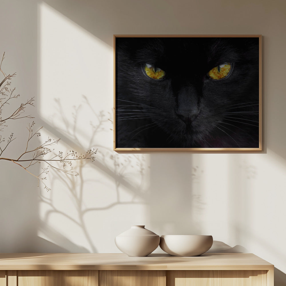 Der Hypnotiseur der Nacht | Poster - Kunstdruck