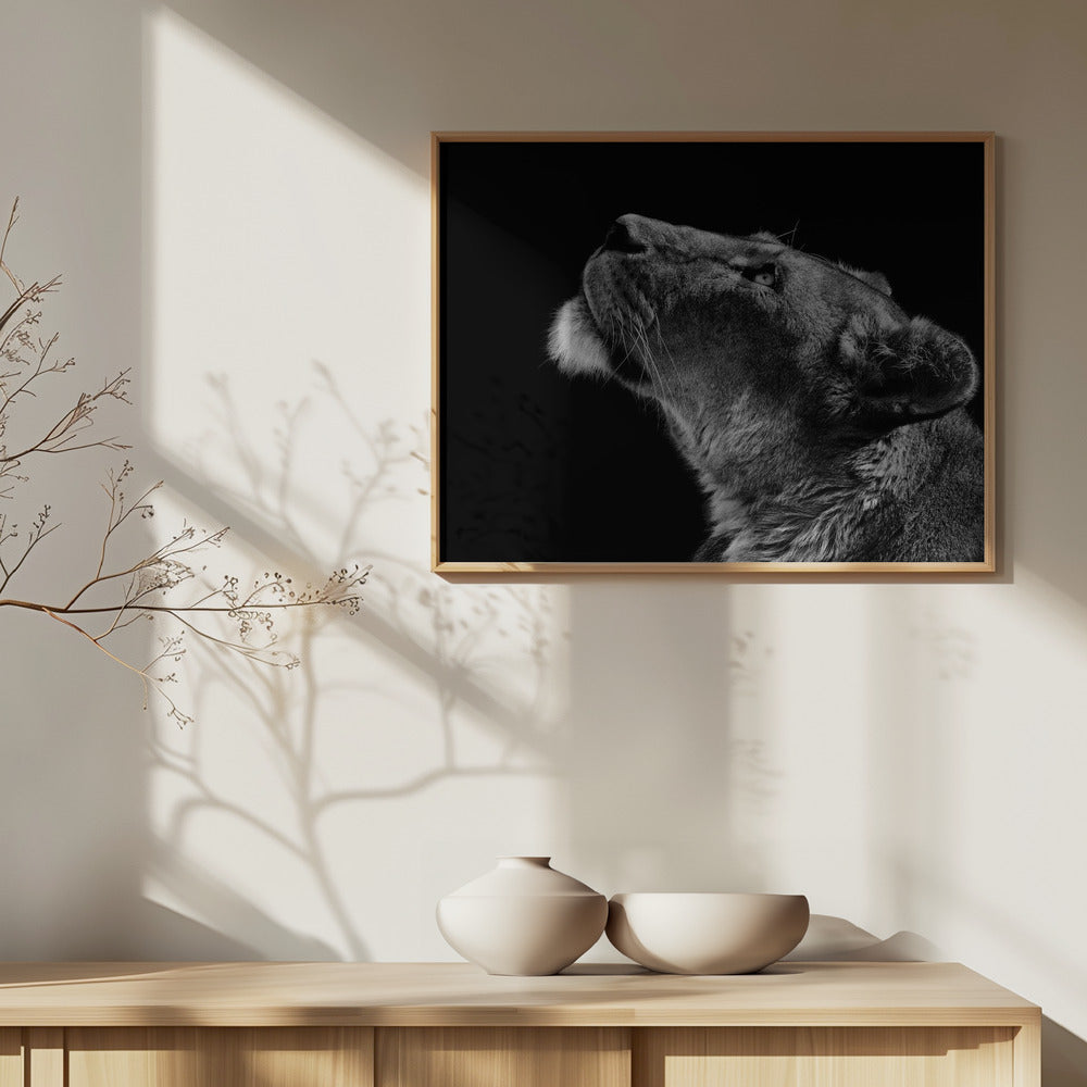 Omhoog kijken | Posters - Kunstdrukken