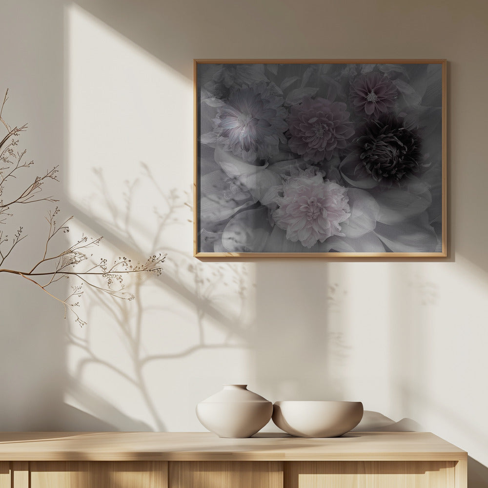 Dahlientraum | Poster - Kunstdruck