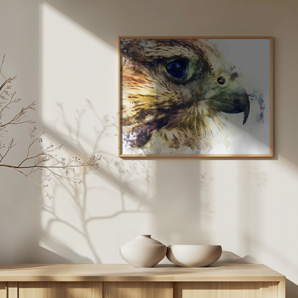 Djur Fågel Tornfalk Akvarell Djurkonst | Poster