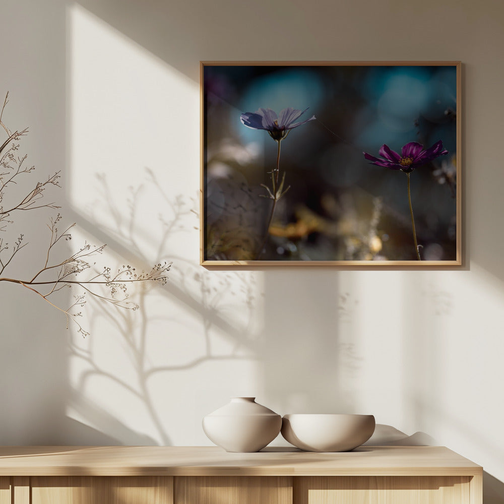 Linket | Plakater - Kunsttryk