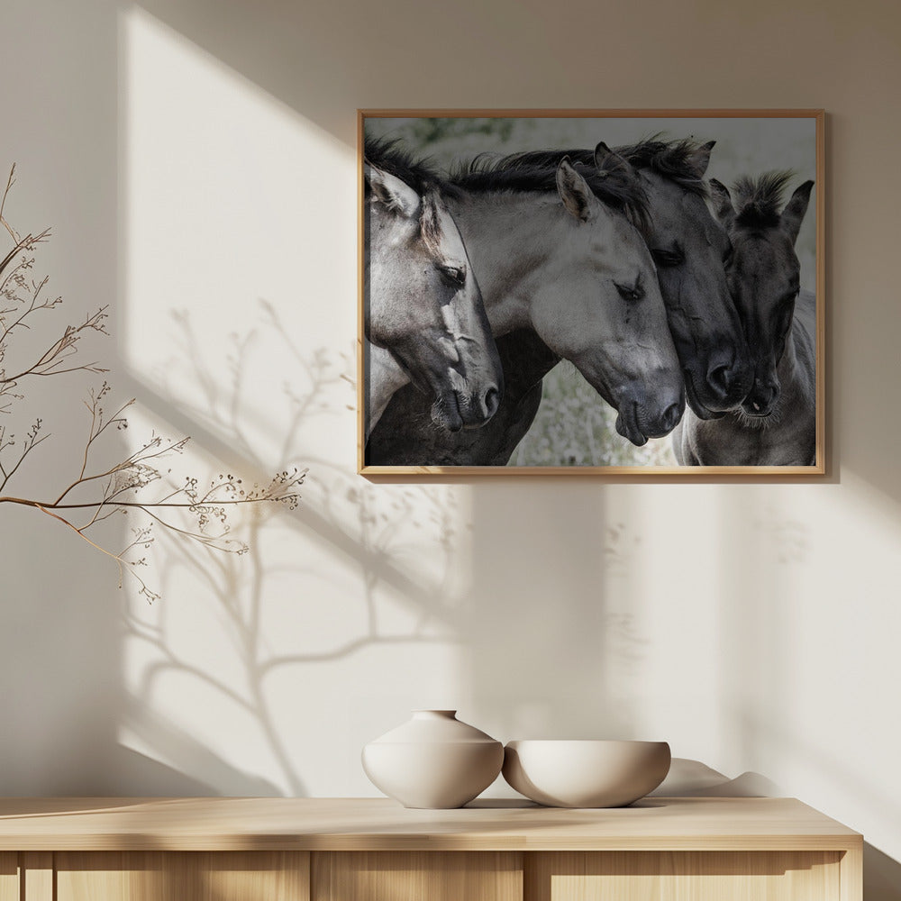 Fire Konik-hester | Plakater - Kunsttrykk