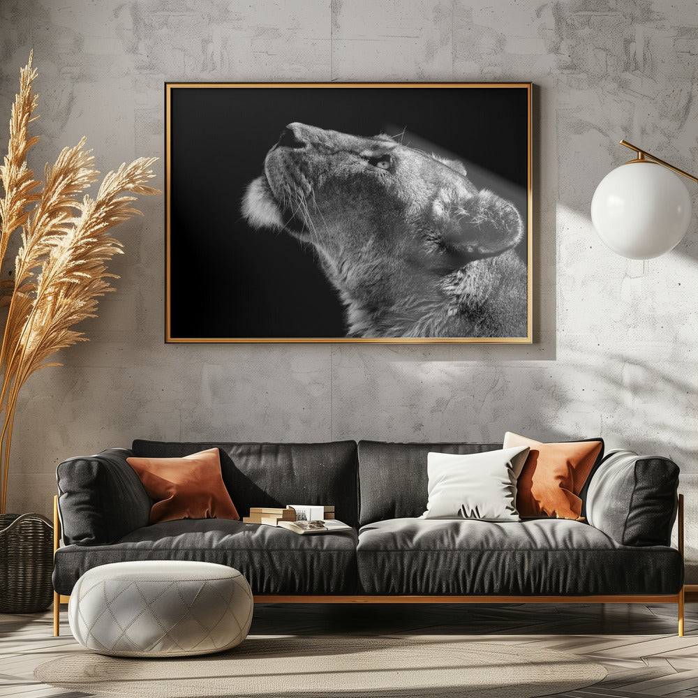 Omhoog kijken | Posters - Kunstdrukken
