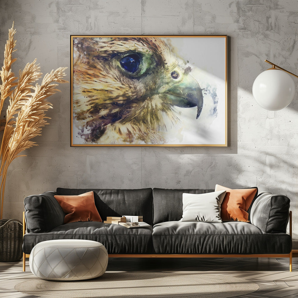 Djur Fågel Tornfalk Akvarell Djurkonst | Poster
