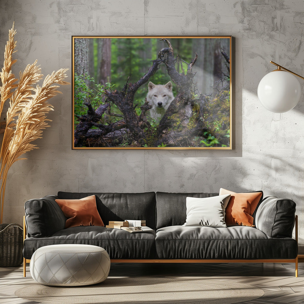 Loup | Posters - Affiche Artistique