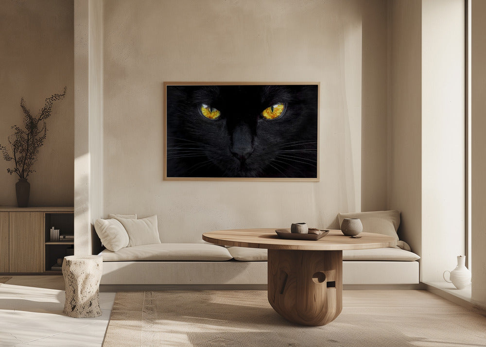 Der Hypnotiseur der Nacht | Poster - Kunstdruck