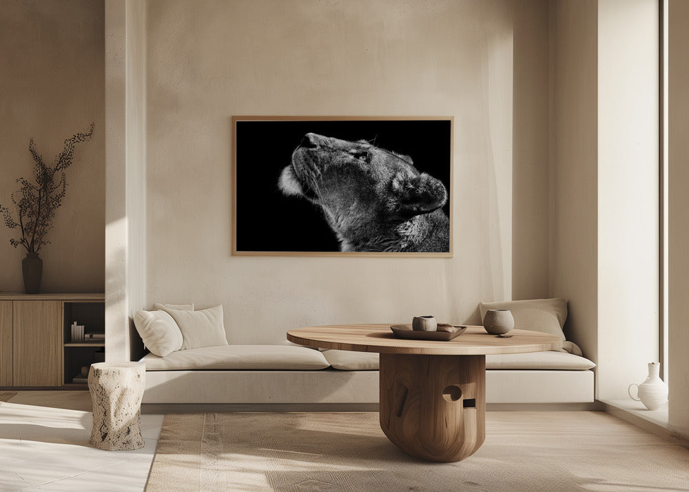 Omhoog kijken | Posters - Kunstdrukken