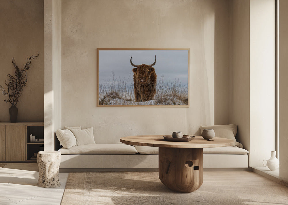 Highlander im Schnee | Poster - Kunstdruck