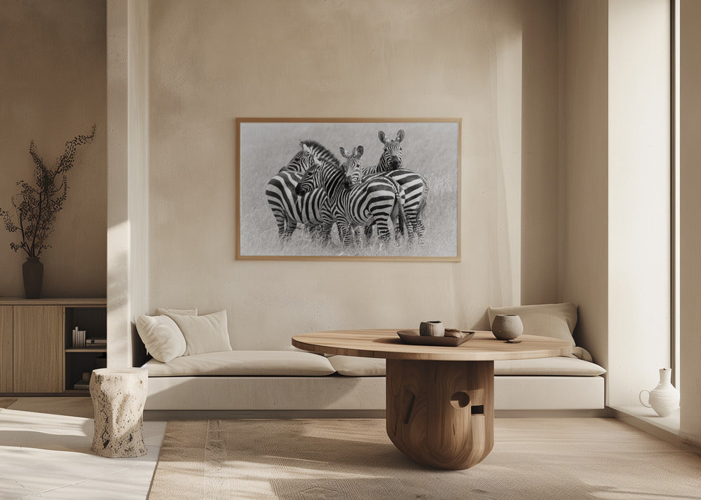 Zebraer | Plakater - Kunsttryk