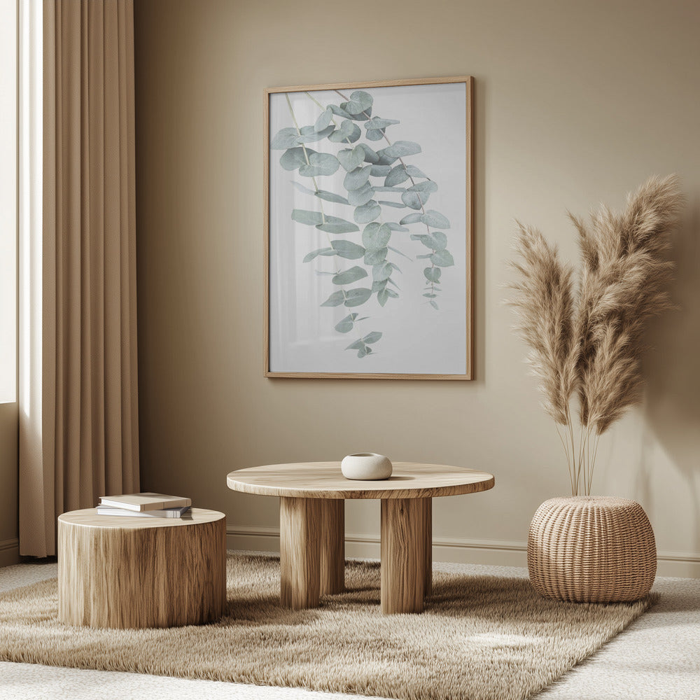 Eucalyptus I | Poster