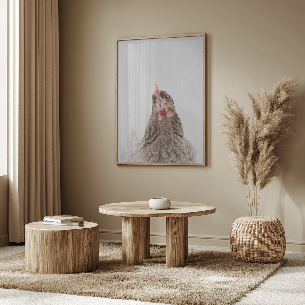 Peekaboo Chook | Poster