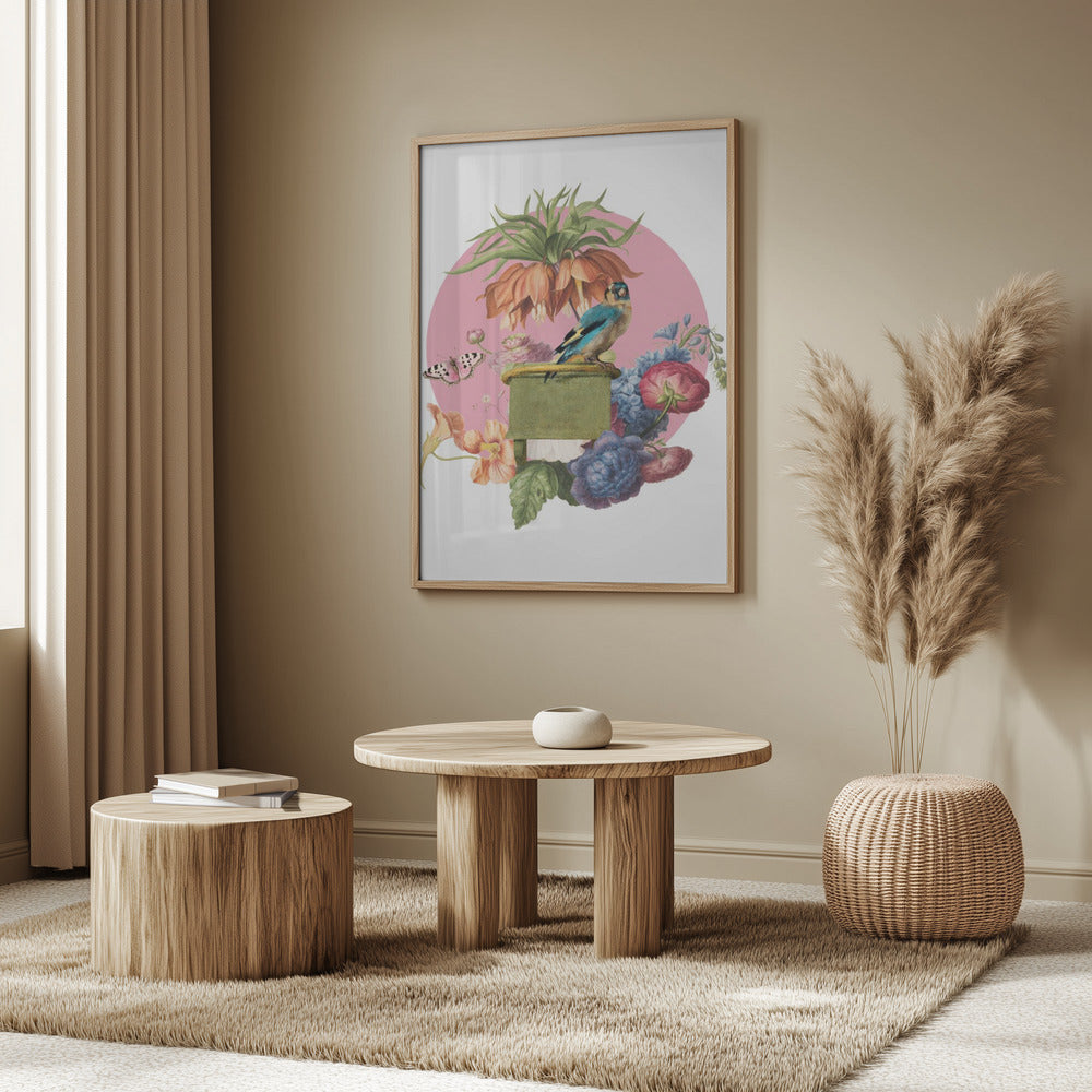 Colorful Bird Perched On A Box | Poster