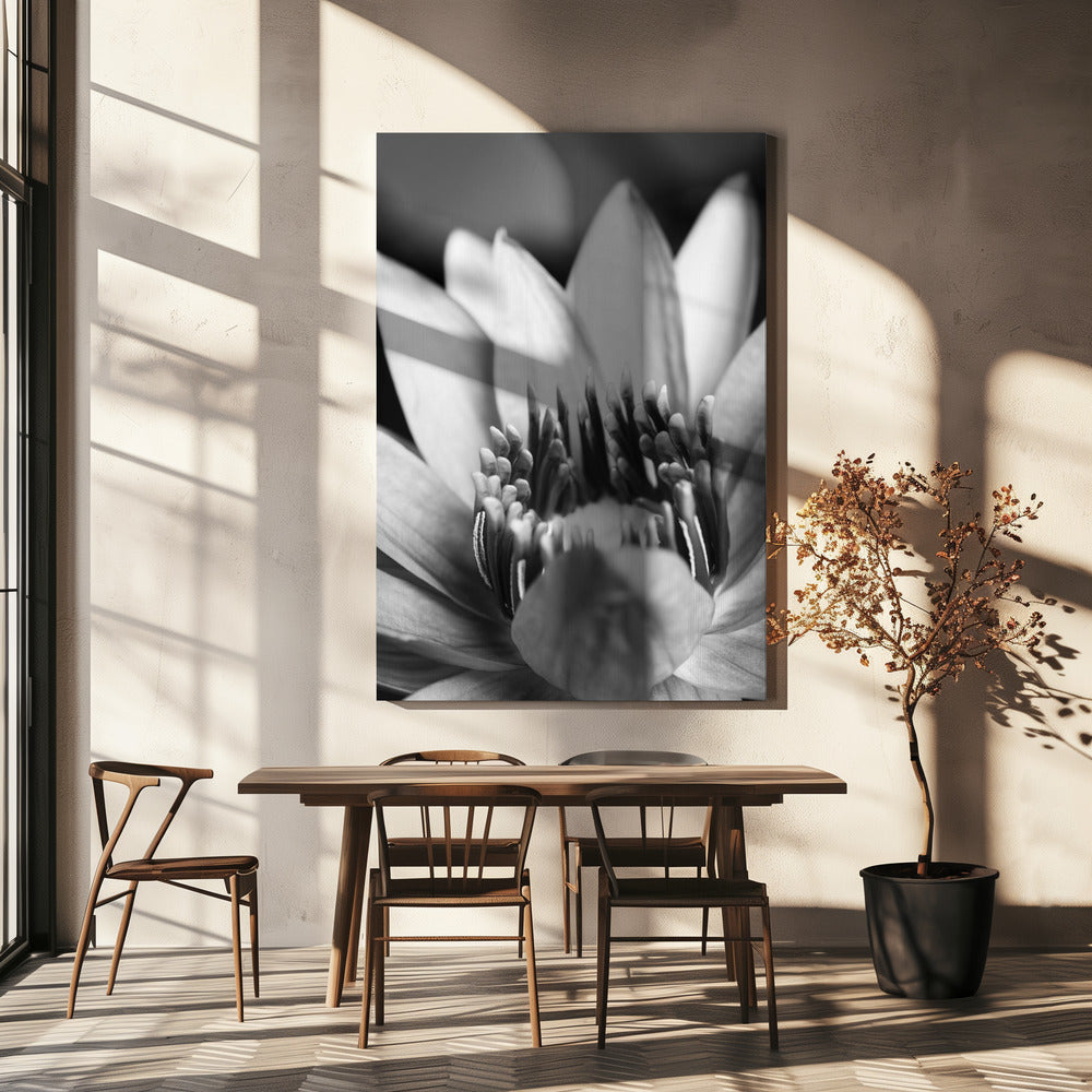Blume, Nahaufnahme | Leinwand-Bilder
