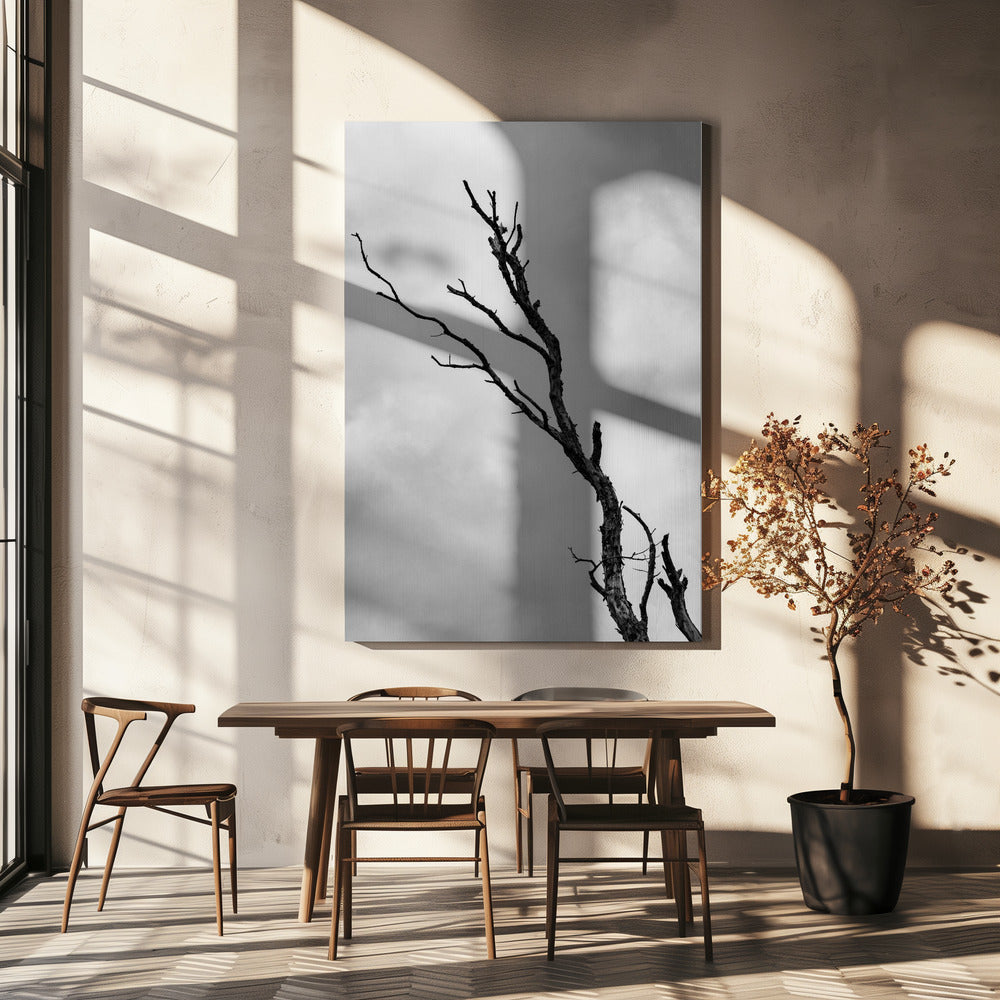 I'm not leaving without a fight | Canvas