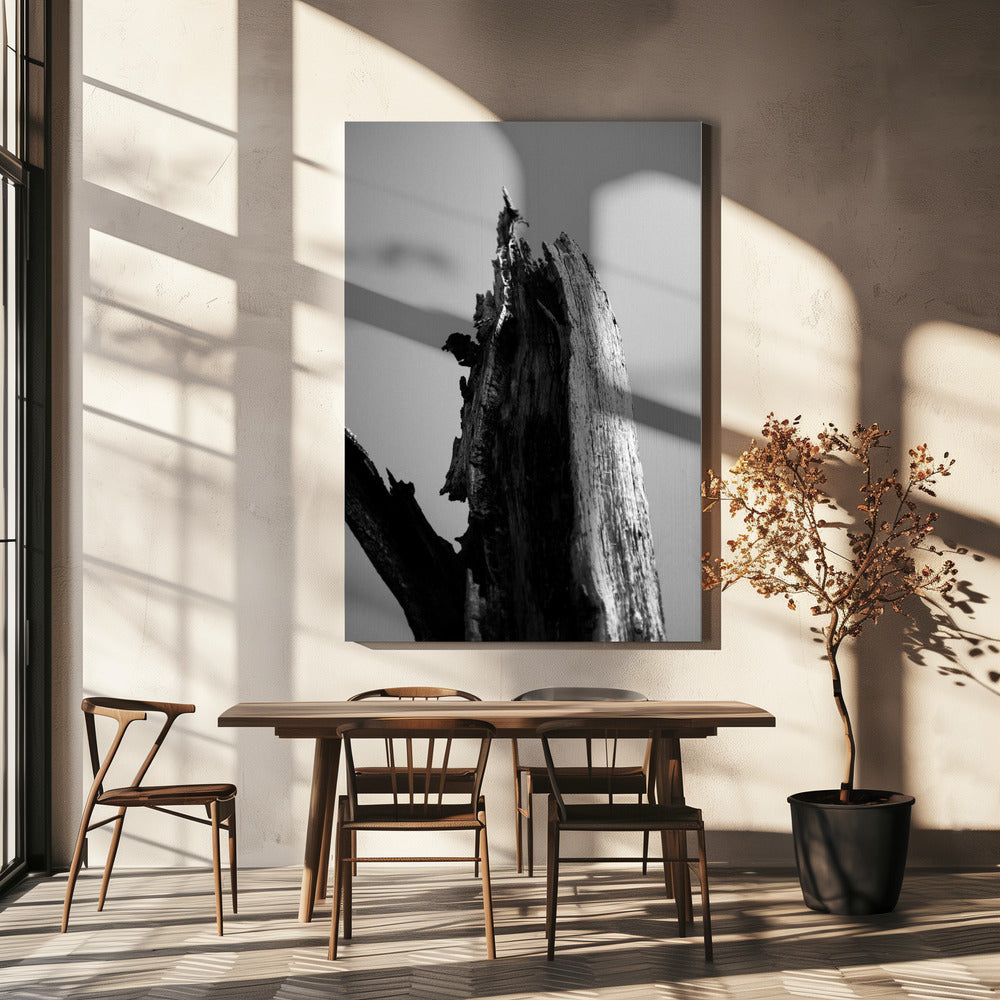 Feuchtgebiete 1 | Leinwand-Bilder