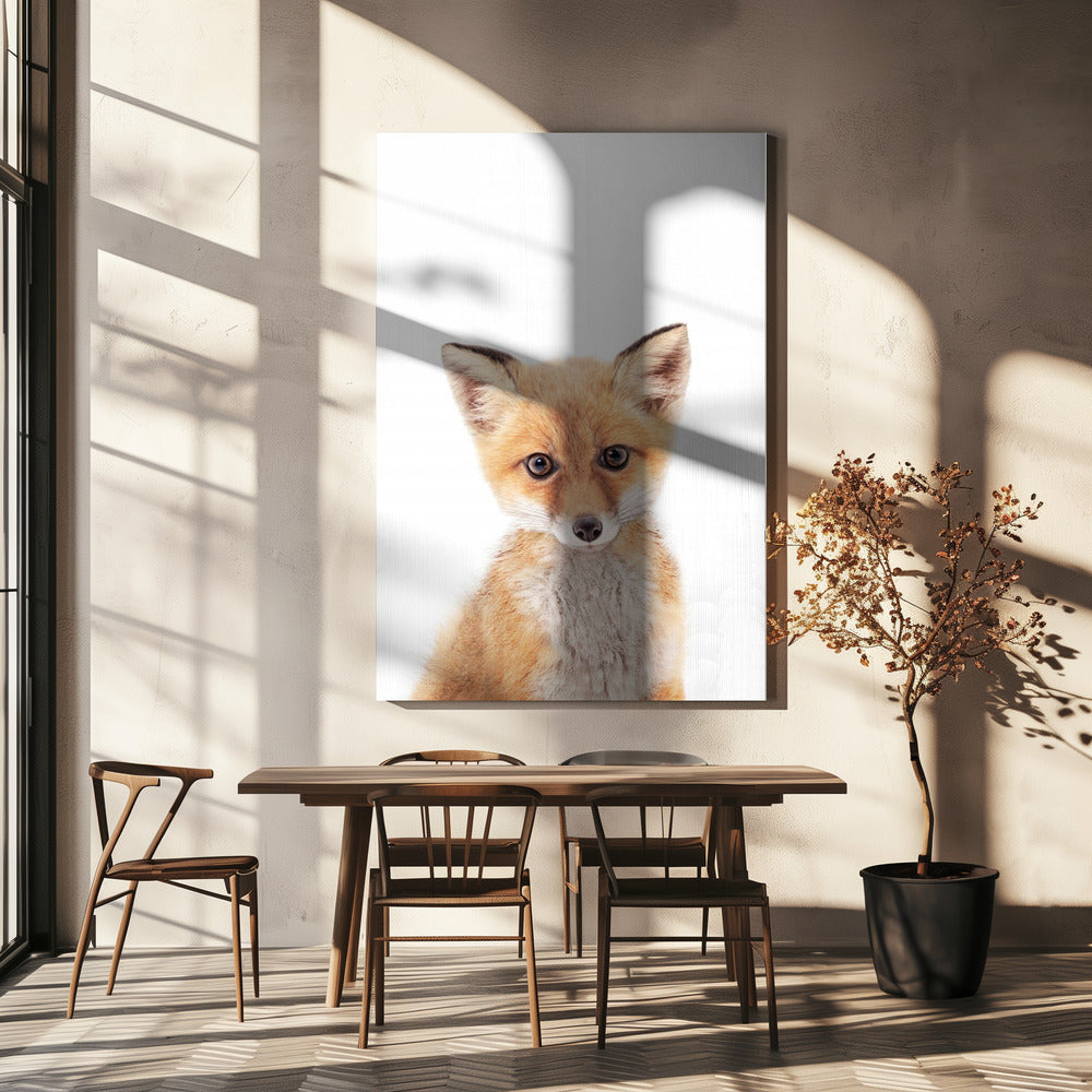 Baby Vos | Canvasprints
