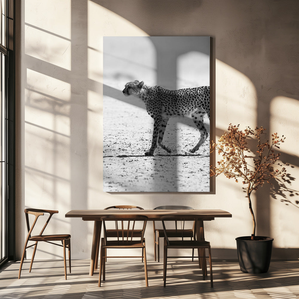 Gepard | Lærredsbilleder