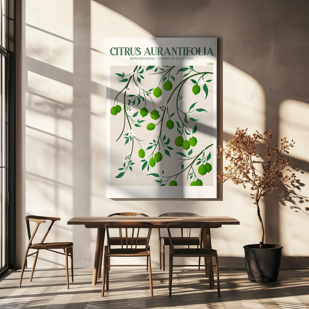 Citrus Aurantifolia - Lime | Lærredsbilleder