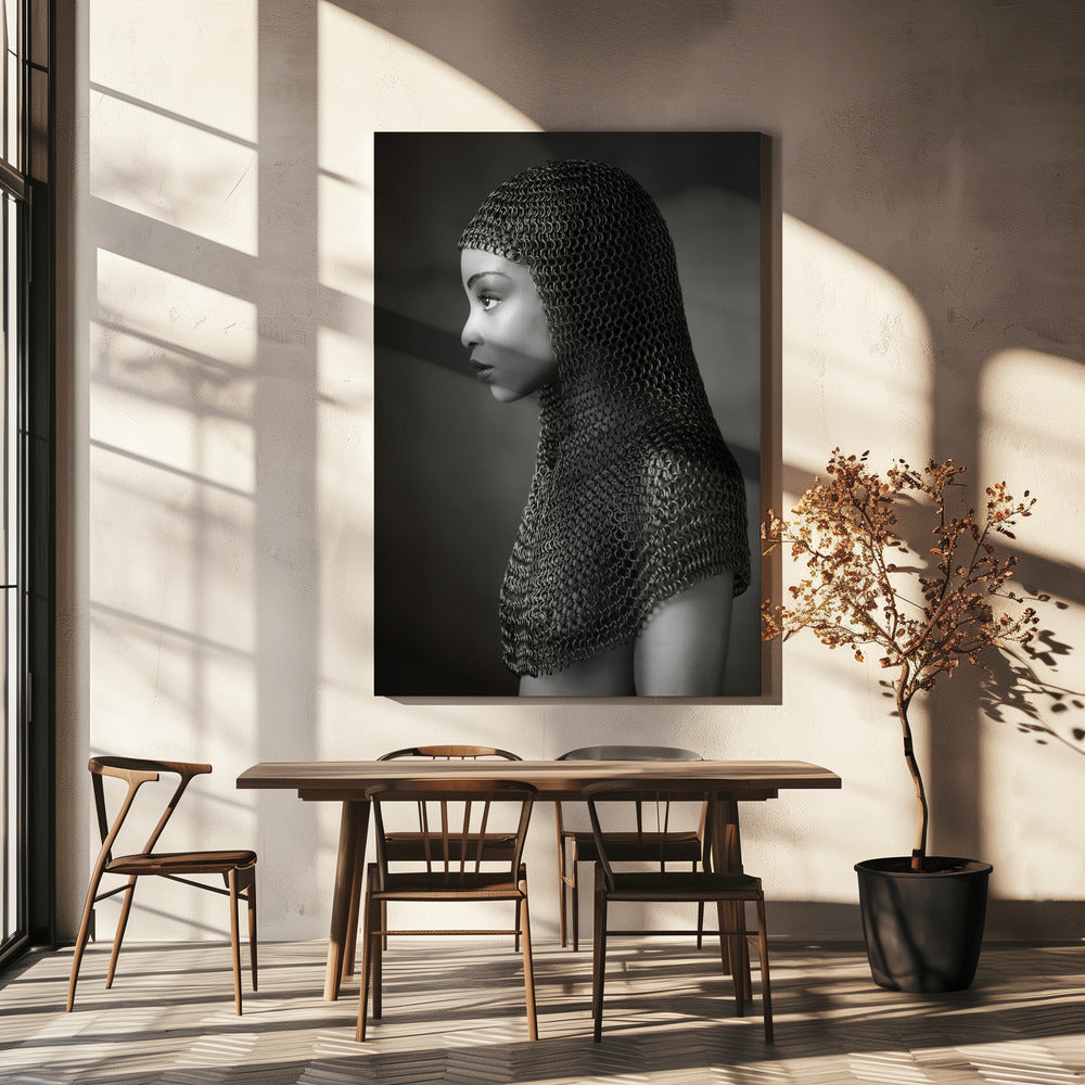 Damringbrynja | Canvas